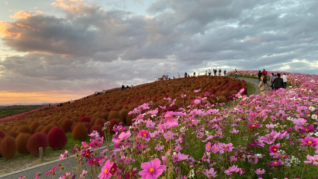Japan: Ibaraki – Entdeckungen abseits der&nbsp;Touristenströme
