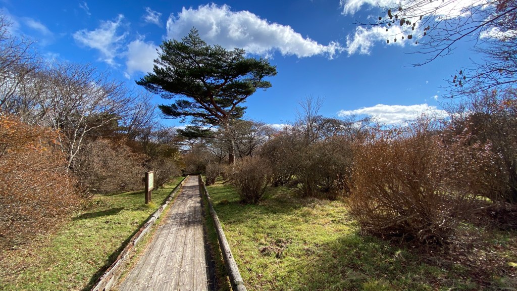 Nasu Shiobara – Naturgenuss und Ruheoase in der Nähe von&nbsp;Tokyo